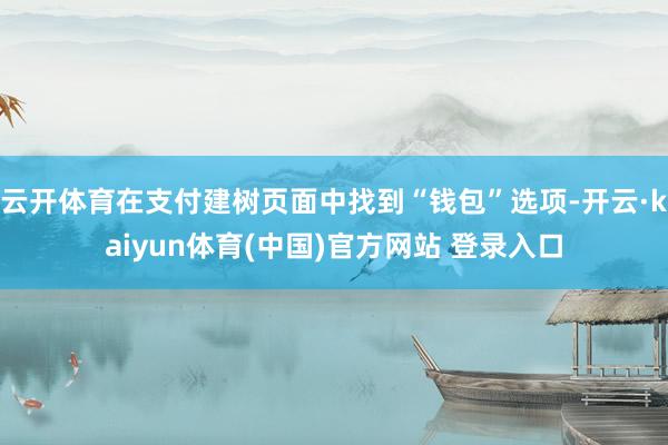 云开体育在支付建树页面中找到“钱包”选项-开云·kaiyun体育(中国)官方网站 登录入口