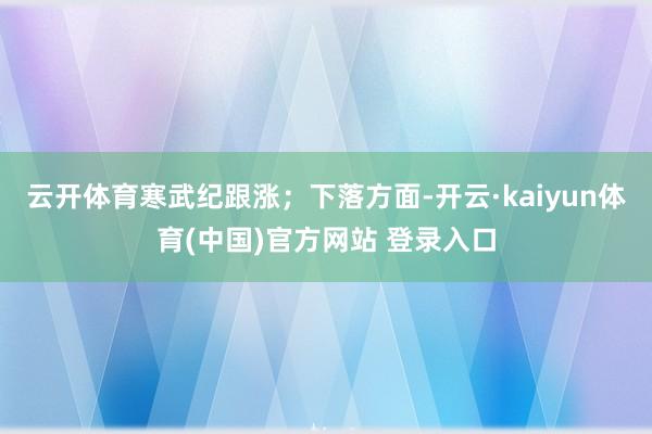 云开体育寒武纪跟涨；下落方面-开云·kaiyun体育(中国)官方网站 登录入口