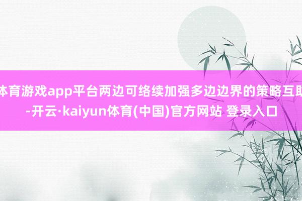 体育游戏app平台两边可络续加强多边边界的策略互助-开云·kaiyun体育(中国)官方网站 登录入口