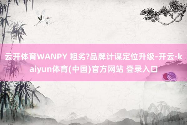 云开体育WANPY 粗劣?品牌计谋定位升级-开云·kaiyun体育(中国)官方网站 登录入口